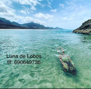 Luna de Lobos